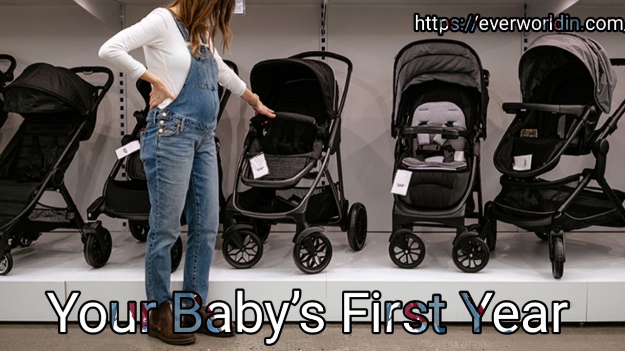 Baby’s First Year